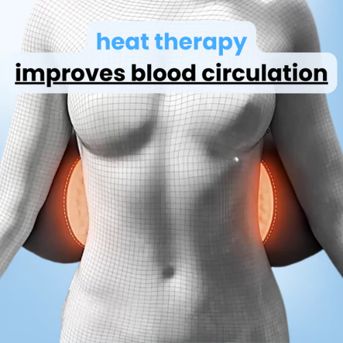 OrthopedicsUSA Home Pro Massager